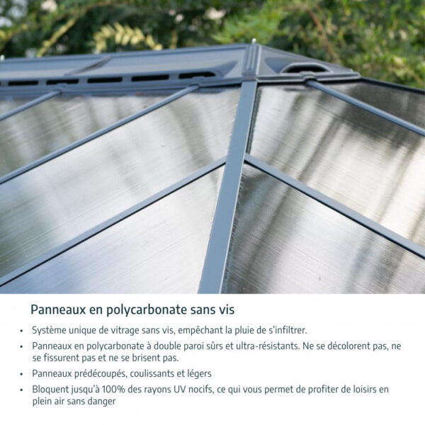 Pergola aluminium et polycarbonate 430x295,5cm Martinique 4300 Palram - Canopia